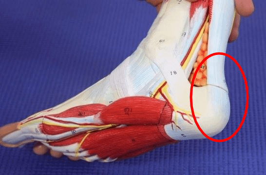 stabbing pain back of heel