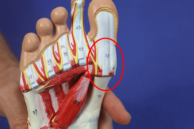 Throbbing Big Toe Pain At Night [Causes, Symptoms & Best Treatment]