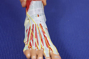 Pain Across the Top of the Foot Complete Treatment Guide